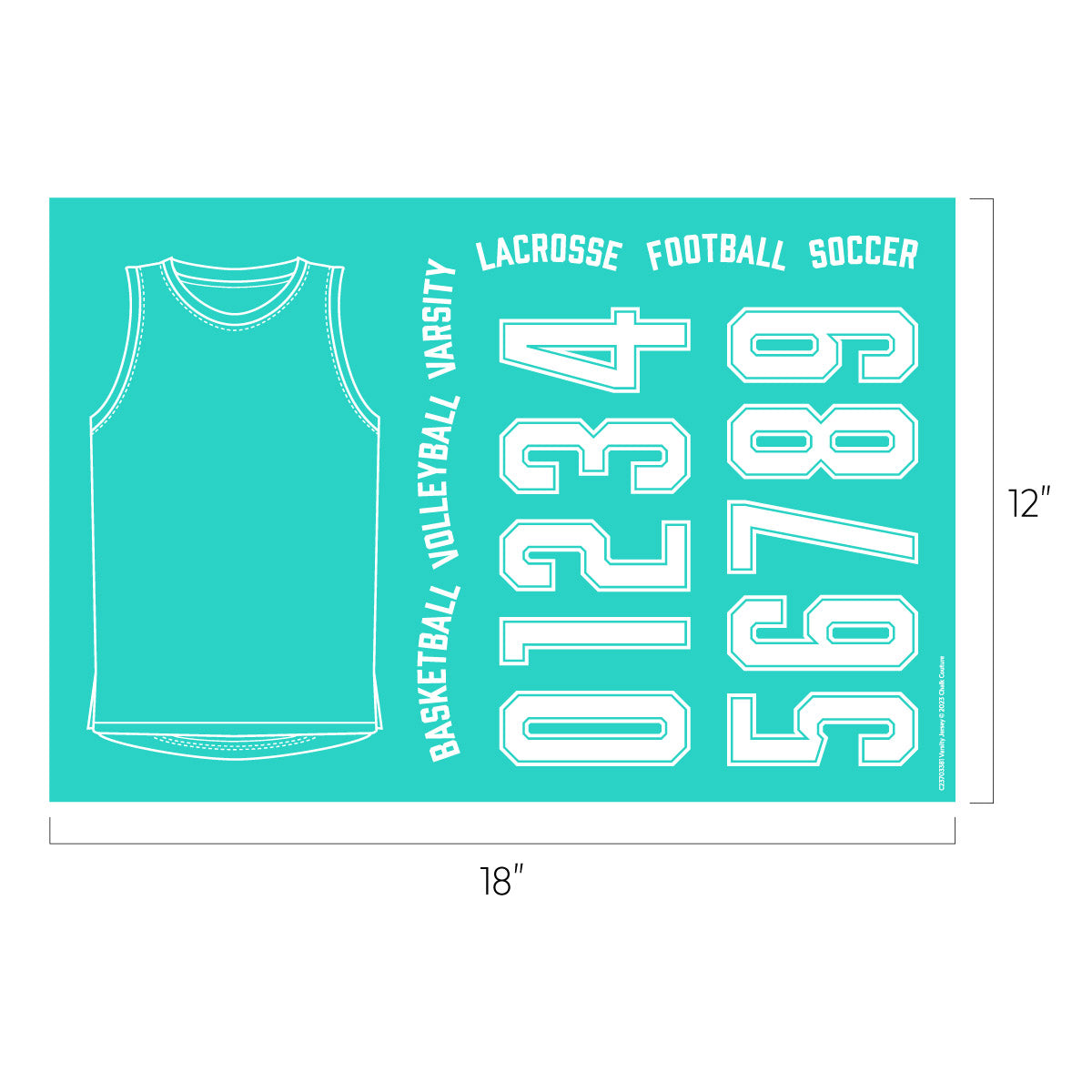 Varsity Jersey