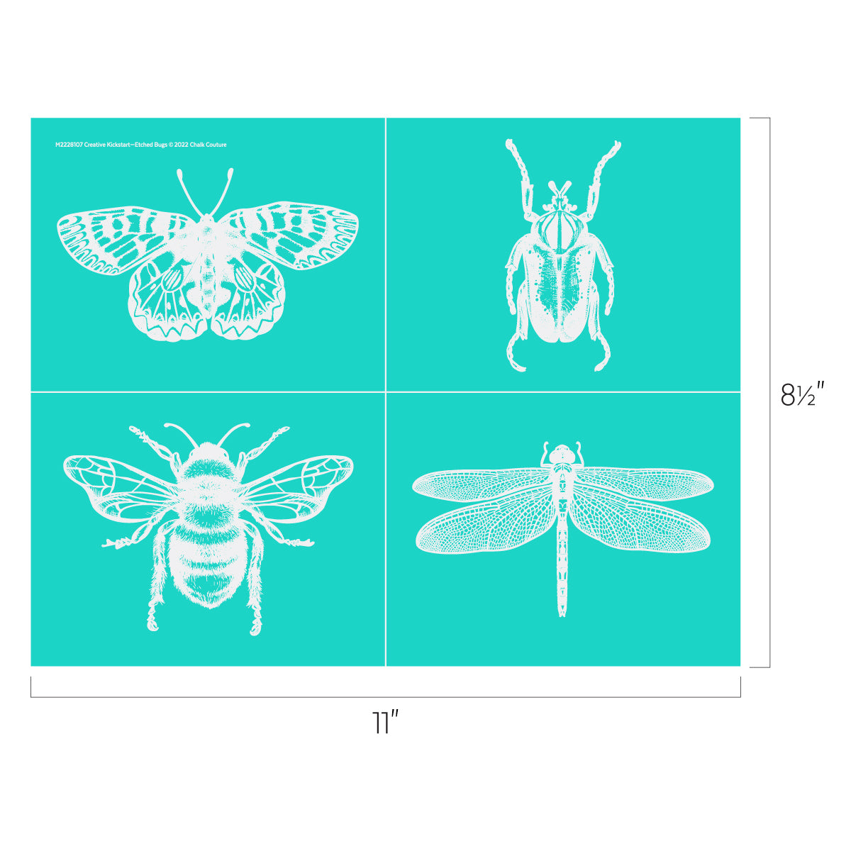 Etched Bugs